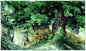 Man Arenas【The forest \the dwarf】