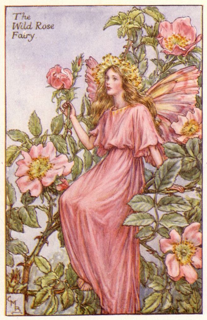 Cicely Mary Barker (...