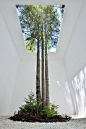 架空层Empty space(357图)_@亚卓（Yanis）收集_花瓣建筑设计#architecture #trees #nature240