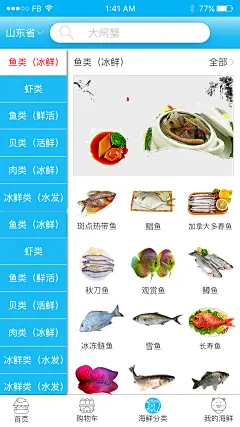 山东海参 分类