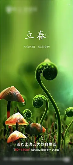 立春节气移动端海报-享设计