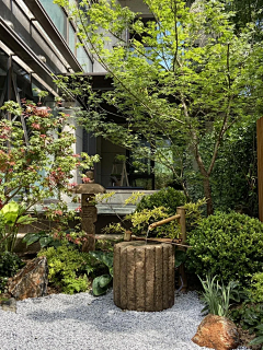 杂木庭院风格-花瓣网|陪你做生活的设计师 | 日式禅意庭院分享 - 小红书