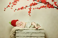 梦幻唯美花草 海报 杭州印纪宝宝儿童摄影  杭州地区最专业的宝宝上门摄影杭州宝宝摄影 | 唯美宝宝写真 | 杭州专业宝宝摄影写真 | 杭州最好的宝宝写真,高端百日照,满月照,最好的宝宝摄影 