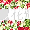 夏天,赤素馨花,热带的花,贺卡,植物,商务,壁纸,植物群,度假,问候