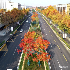 WL景观采集到道路景观