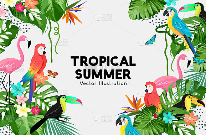 异国情调的丛林夏季框架设计