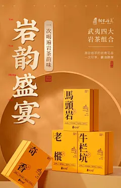 牛栏坑马头岩肉桂茶武夷山正岩奇香大红袍老枞水仙茶叶礼盒袋装-tmall.com天猫
