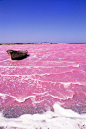 非洲-玫瑰湖：非洲塞内加尔的玫瑰湖（Lake Retba），一片令人沉醉的粉红。湖中有嗜极菌，这种生活在各种极端恶劣环境下的喜盐生物在盐分浓度高达每升水含80—300克盐的盐湖中旺盛生长。正是因为这些奇异的小生物，才产生了玫瑰湖绮丽的颜色，浪漫的情调。