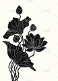 美丽的莲花。