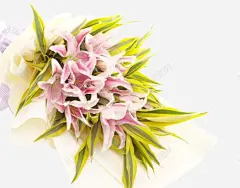 淘宝粉色百合海报元素高清素材 设计图片 页面网页 平面电商 创意素材 png素材