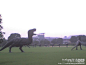 中华恐龙园:南京行之常州恐龙园一日游, 不限赤阳塌旅游攻略