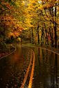 Yellow Leaf Road, North Carolina