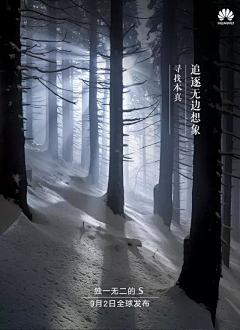 肉嘎嘎采集到广告