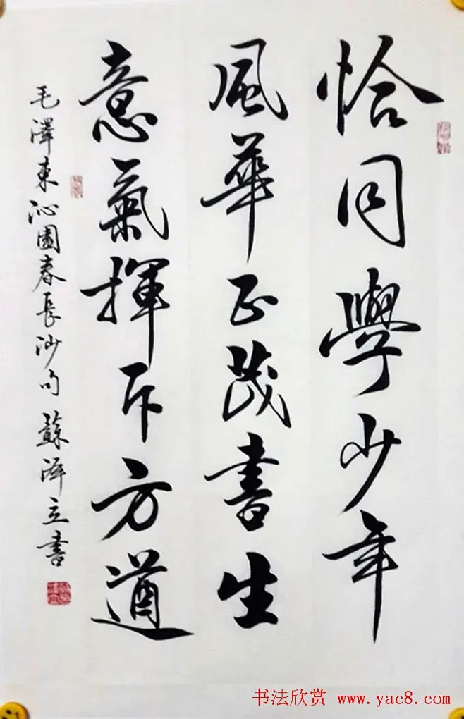 苏泽立书法行书作品欣赏-花瓣网