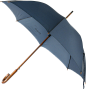 雨伞 PNG image