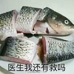 我是白粥粥采集到？？？