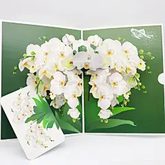 优雅3D立体白兰花贺卡带信封 - 适合情人节、母亲节、生日和周年纪念日 0