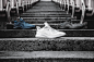 adidas 推出全新 AlphaBOUNCE AMS 跑鞋系列-1626潮流前线资讯