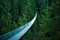 The Capilano suspension bridge in Vancouver（温哥华的卡皮拉诺悬索桥）