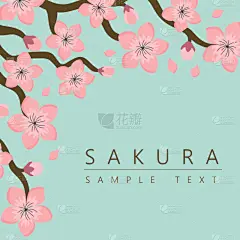 日本,樱花,樱之花,背景,化妆舞会服,可爱的,传统,和服,请柬,贺卡