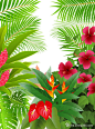 绿色热带植物花朵 #采集大赛#