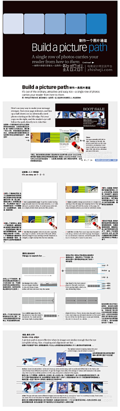 艾莉缇798采集到▌设计知识 ▌