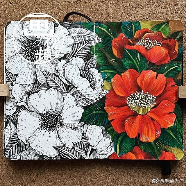 黑白与色彩的碰撞insalicelovesdrawing67676767