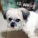 嘟嘟嘟喂👀