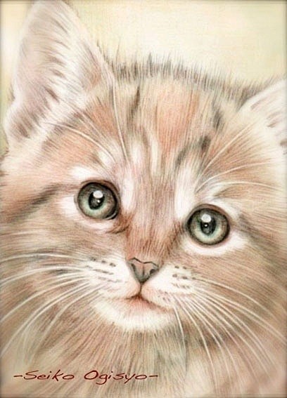 猫咪绘本_创意如此简单_新浪轻博客_Qi...