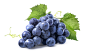 037ddcce66eb4c1b756d2f23684ae05d4f12b64a7ba04-KED0Ho_fw1200