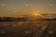 乌特里镇附近的大片彩色草地和森林和日落天空