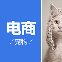 lostking采集到nice钻展/车图