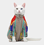 Ultimate Cat Fashions & Photos Are Back For 2014: The Catclub Calendar By United Bamboo #catclub #喵星人#