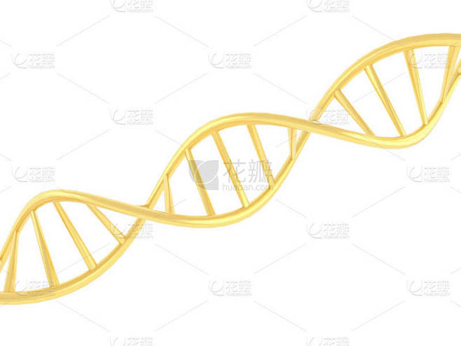 金色的 Dna 符号在白色背景上。3d 渲染插图.