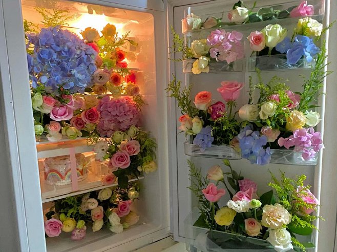 冰箱是生活,鲜花是浪漫。 ​​​