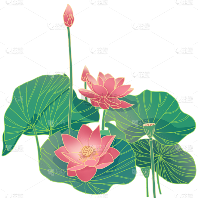 古典吉祥物元素主题素材-荷花