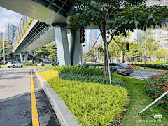 🌸沙沙沙🌸采集到Landscape|道路景观/交叉口