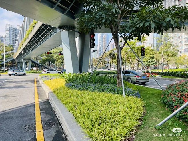 市政道路绿化