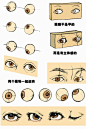 [转载]人体结构教学图片..._北雁_新浪博客