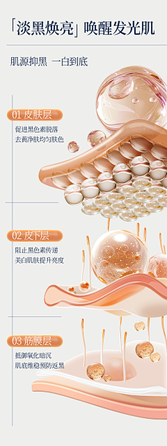 用户GQXt92kb采集到毛孔原理