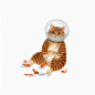 猫插画
