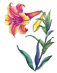 百花争艳   - 源文件下载【酷图网】百花争艳,国画百花争艳,国画,花鸟画,花,水墨画,花朵,红花,手绘花朵,手绘花,水墨画花,抽象花,工笔画,月季,牡丹,水墨荷花,