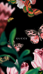 买不起GUCCI，但我们用的起！古驰官方时尚手机壁纸上线！