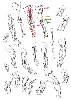 DrawADoG采集到速写练习