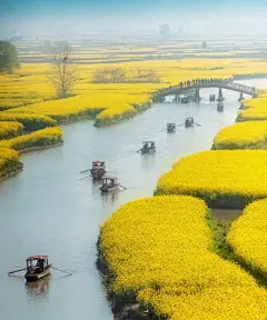 “ 波纹碧皱，曲水清明后。折得菜花香满袖，暗喜春风依旧 … ” ​ ​​​​