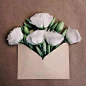 【乌克兰艺术家Anna Remarchuk摄影作品】—— 一叠旧信封，一捧鲜花瓣。采撷四季的芬芳，装进信封，寄给你．．．