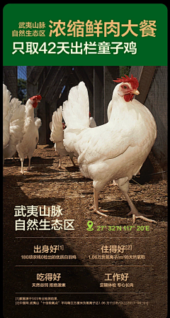 Ridor_小兜采集到宠物用品详情页