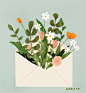 植物插画，小清新，信封花