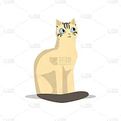 可爱的米色短毛猫，黑色的尾巴，蓝色的眼睛和条纹在口吻。卡通人物的家畜。平面矢量的宣传海报或动物园商店