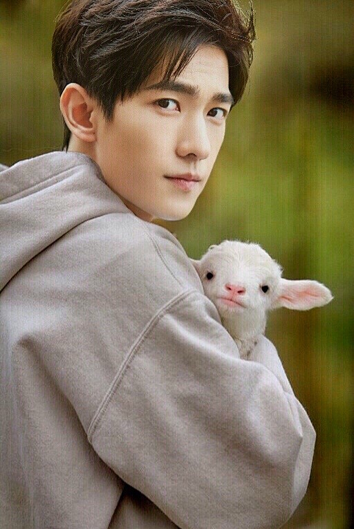 羊与少年@杨洋icon #杨洋icon#...